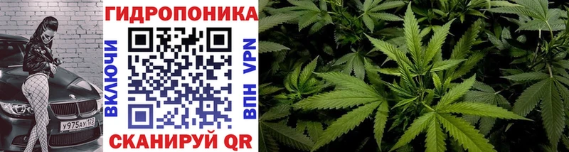 Бошки Шишки конопля Дмитриев